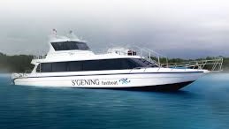 Sgening Fast Boat NP-SN